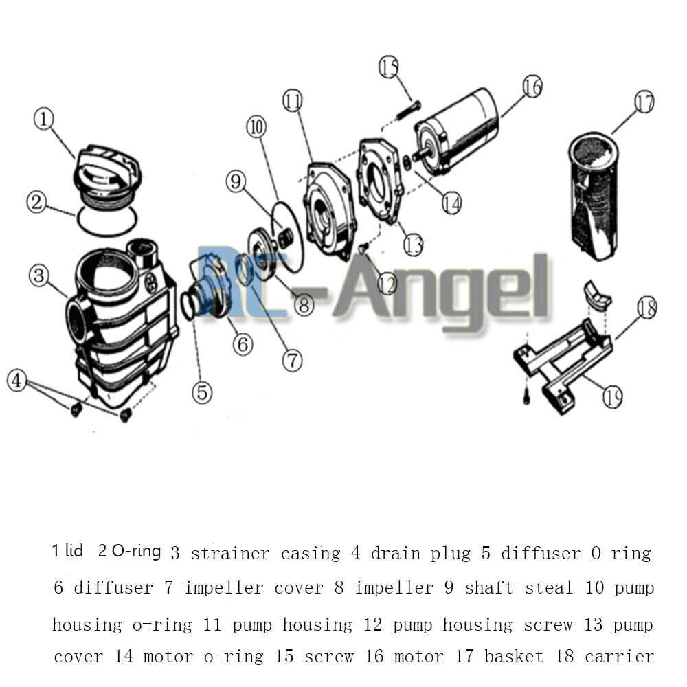 1.5 hp hayward pool pump parts diagram
