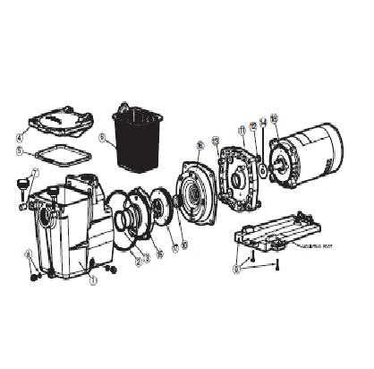 1.5 hp hayward pool pump parts diagram