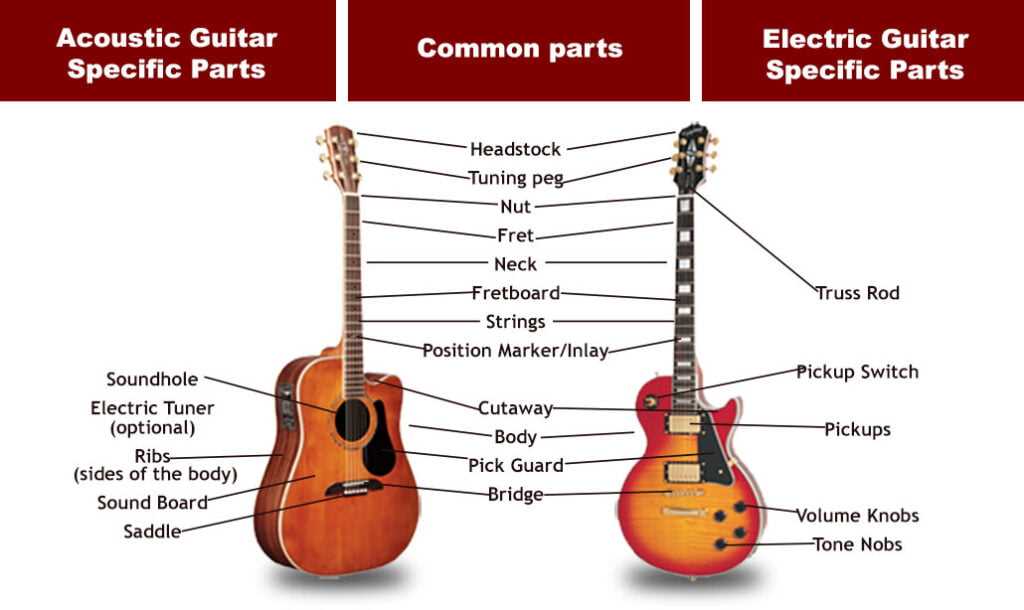 acoustic electric guitar parts diagram