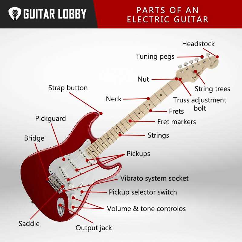 acoustic guitar parts diagram