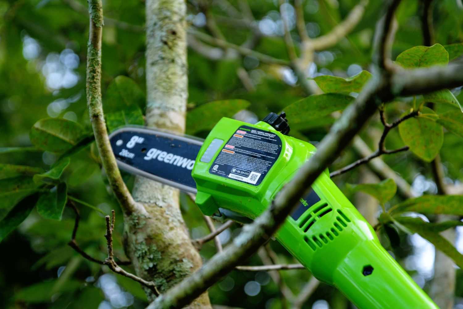 greenworks pole saw parts diagram