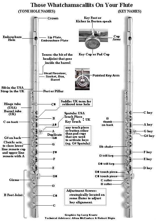 parts of a flute diagram