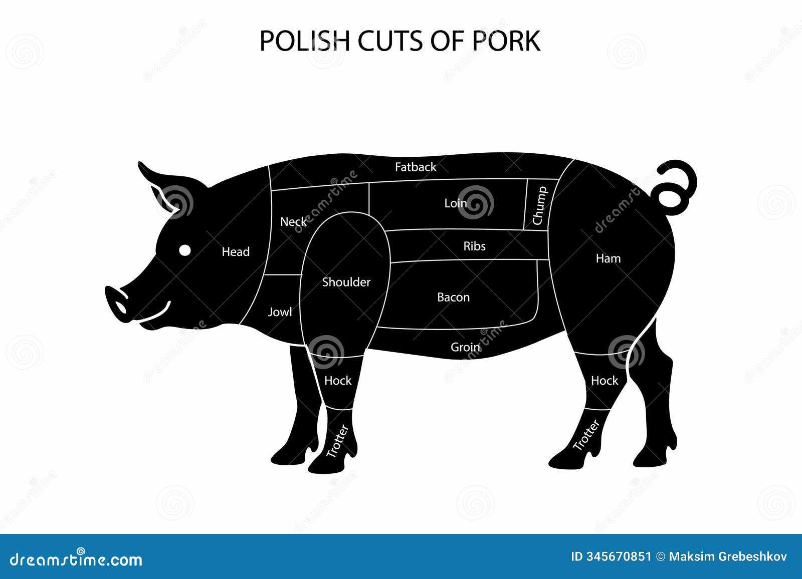 parts of a hog diagram