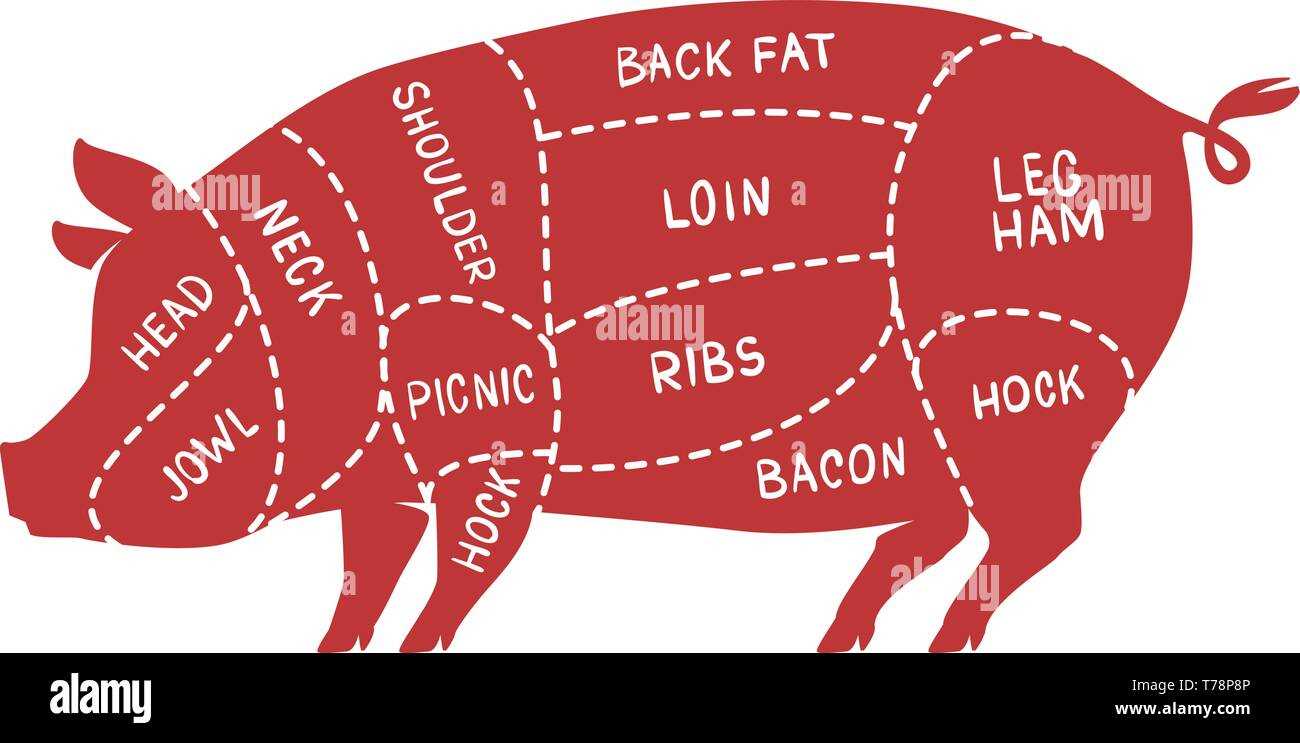 parts of a hog diagram