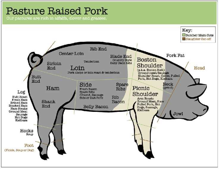 parts of a hog diagram