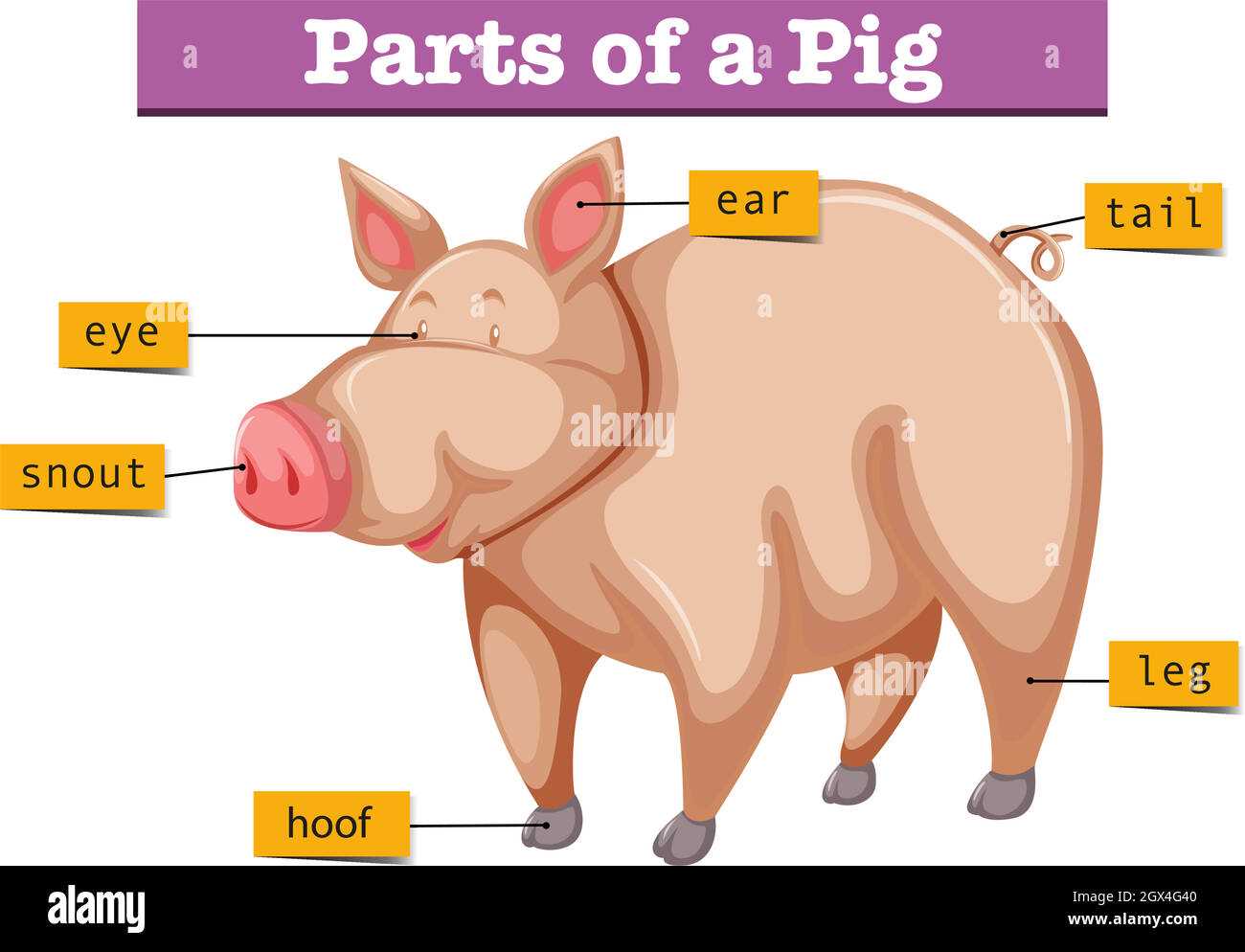 parts of a hog diagram