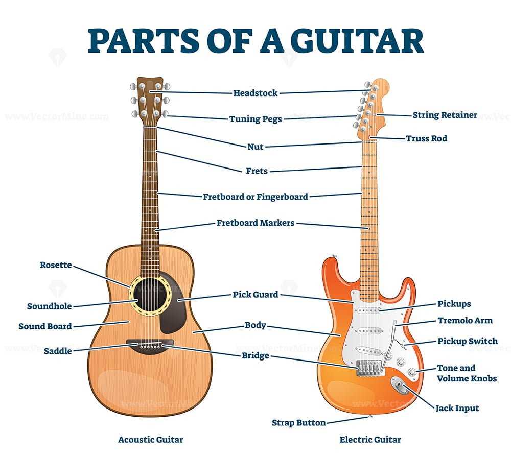 acoustic electric guitar parts diagram