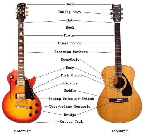 acoustic electric guitar parts diagram