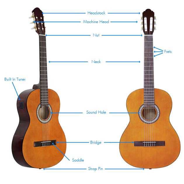 acoustic guitar parts diagram