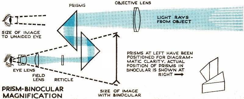 binocular parts diagram