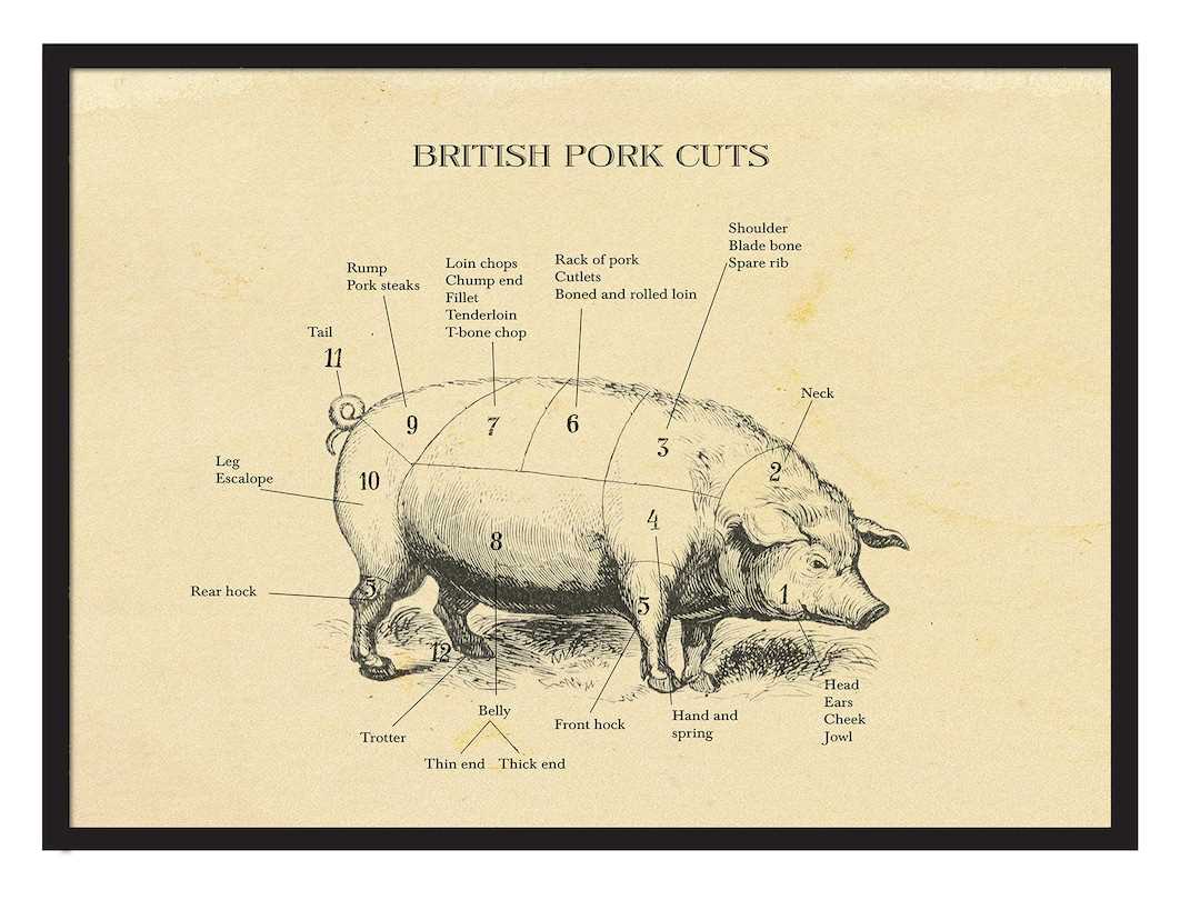 parts of a hog diagram