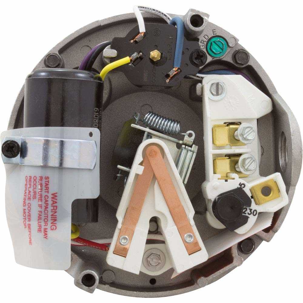 century pool pump parts diagram