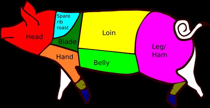 parts of a hog diagram
