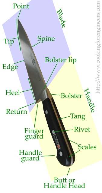 knife parts diagram