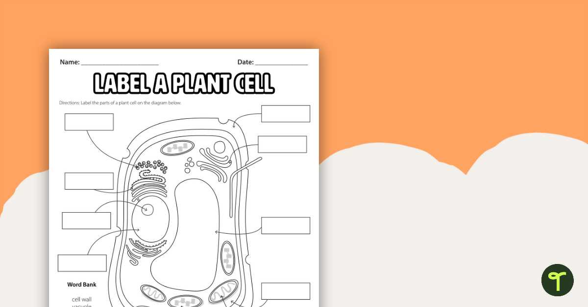 plant parts diagram worksheet