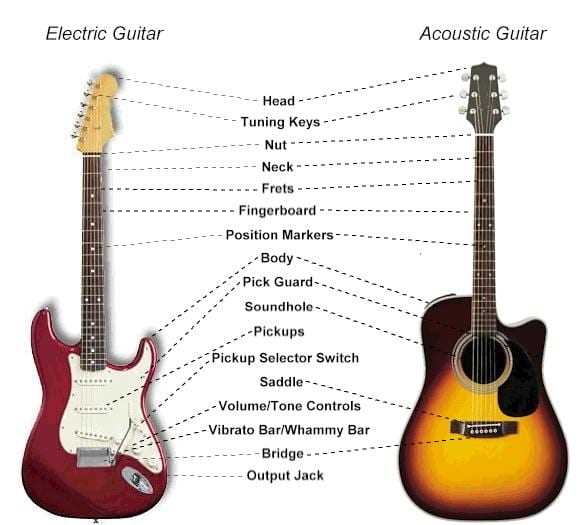 acoustic electric guitar parts diagram