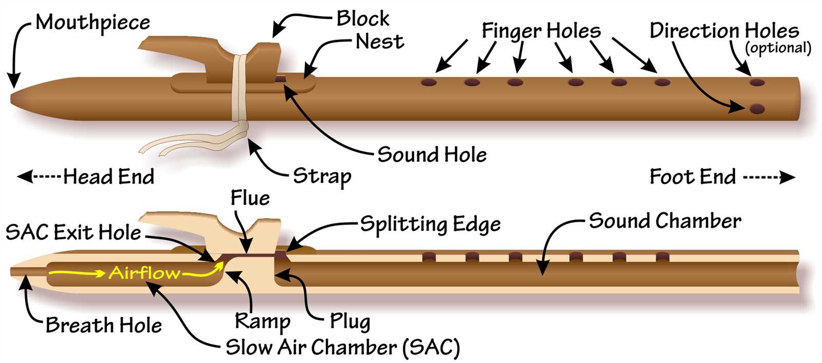 parts of a flute diagram