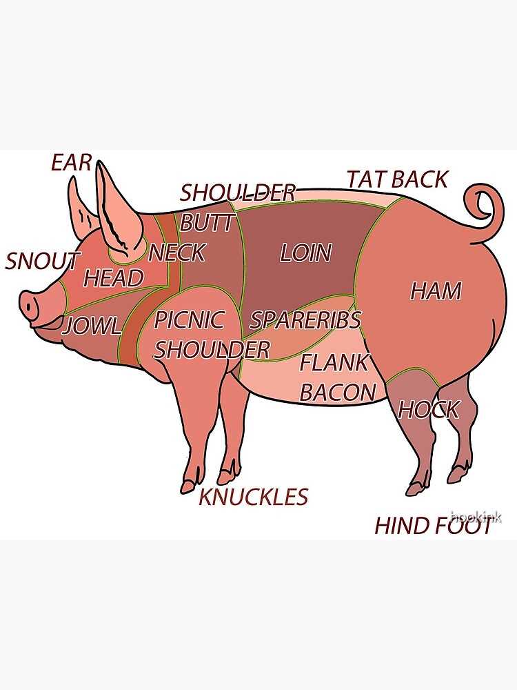 parts of a hog diagram