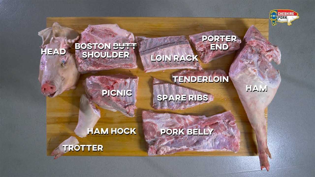 parts of a hog diagram