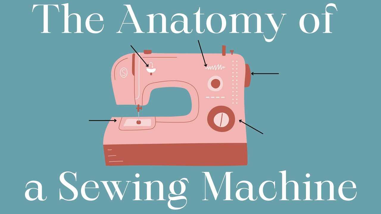 sewing machine parts diagram worksheet