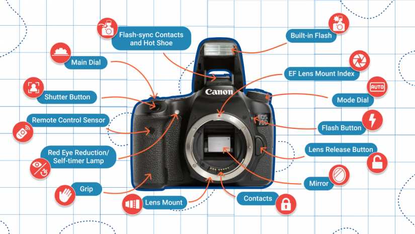 slr camera parts diagram