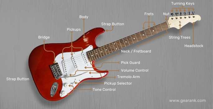 acoustic guitar parts diagram