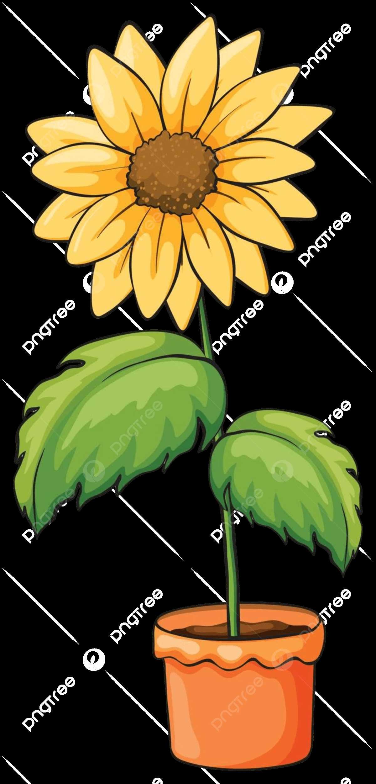 sunflower parts diagram