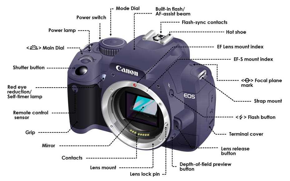 slr camera parts diagram
